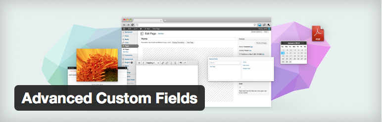 Advanced Custom Fields